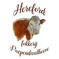 Hereford fokkerij Paependaalhoeve, Boutersem openingstijden