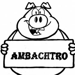 Ambachtro, Hamme openingstijden