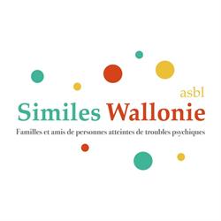 Similes Wallonie ASBL, Luik openingstijden