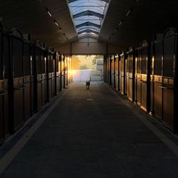 Hof ter velde, Sint-Lenaarts openingstijden