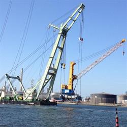 Marine Service & Industrie Solutions, Antwerpen openingstijden