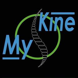 MyKine, Sint-Eloois-Winkel openingstijden
