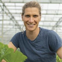 Jarno Claeys, Pittem openingstijden