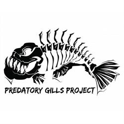 Predatory gills project, Mechelen openingstijden