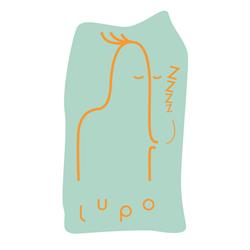 Studio LUPO - Sleep on the water, Gent openingstijden