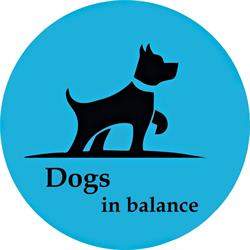 Dogs In Balance, Geraardsbergen openingstijden
