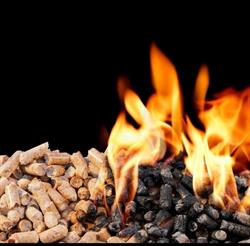 Zimmermans Combustible, Heure openingstijden