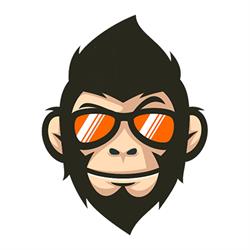 Digital APE, Merksplas openingstijden