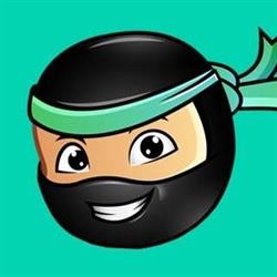 Digital Ninja - Online Marketing & Much More, Arendonk openingstijden