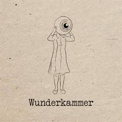 Wunderkammer Gent, openingstijden