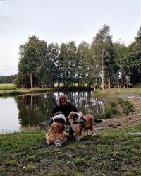 Schotse Collie, Hechtel openingstijden