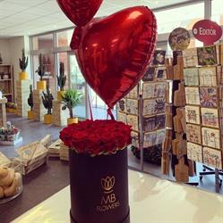 Mijn bloemenhuis, Beringen openingstijden