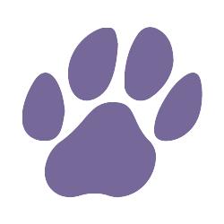 Doggy Trim & Beauty, Steenokkerzeel openingstijden