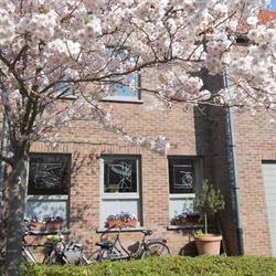 Bella & Basiel, Brugge openingstijden