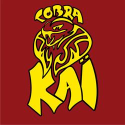 Cobra Kaï Karaté, Quaregnon openingstijden
