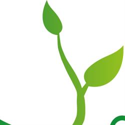 Groenservice Verhaevert, Buggenhout openingstijden