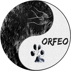 Shiatsu-Orfeo, Lichtervelde openingstijden