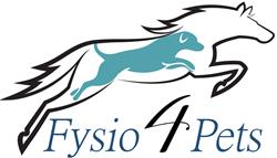 Fysio4Pets, Berchem openingstijden