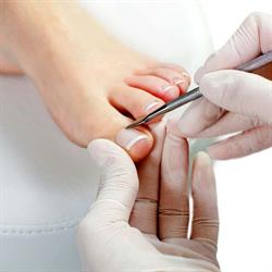 Pedicure - 'de pelgrim', Temse openingstijden