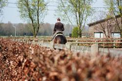 Stal Ter Burcht, Maldegem openingstijden