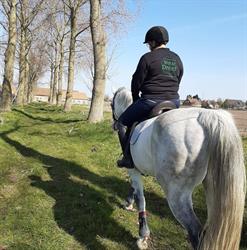 Stal Westdreef, Oudenburg openingstijden