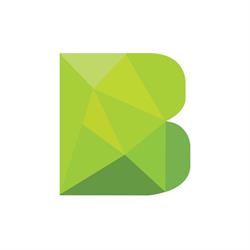 BIFAS - Fiscale Accountants, Temse openingstijden