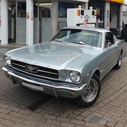 Optimus Cars s.r.l., Watermaal-Bosvoorde openingstijden