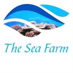 The Sea Farm, Luik openingstijden