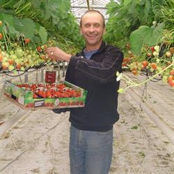 De Vrolijke Aardbei, Aartrijke openingstijden