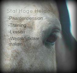 Stal Hoge Heide, Schriek openingstijden
