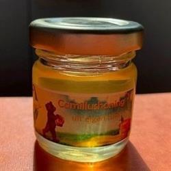 GZA WZC Sint-Camillus, Antwerpen openingstijden