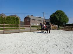 Ferme du Joncquoy, Tillier openingstijden