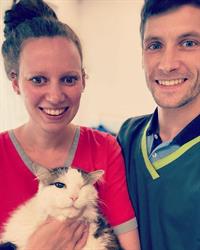 Dierenartspraktijk Het Rietbos, Gistel openingstijden