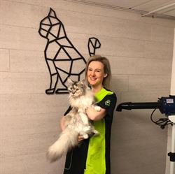 Kattentrimsalon Happy Catz, Lanaken openingstijden