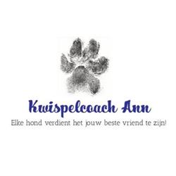 Kwispelcoach Ann, Kortrijk openingstijden