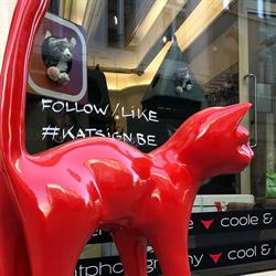 Katshop by Katsign, Antwerpen openingstijden