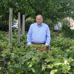 Wijnimport peter, Lokeren openingstijden