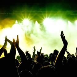 GD Music Management, Ham openingstijden