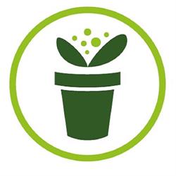 Graines-semences, Neupré openingstijden