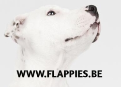 Flappies Hondentraining, Hoboken openingstijden