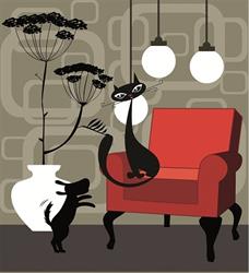 Purrfect Design, Antwerpen openingstijden