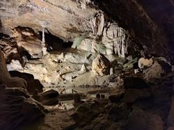 Grottes de Hotton, openingstijden