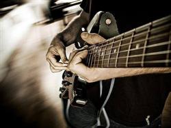 Beach Music, Maldegem openingstijden