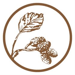 B&B Elzartwinning, Stevoort openingstijden