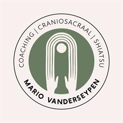 Mario Vanderseypen, Zoutleeuw openingstijden