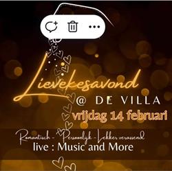 Vill'Artistiek, Lommel openingstijden
