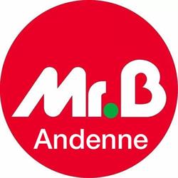 Mr.Bricolage Andenne, openingstijden