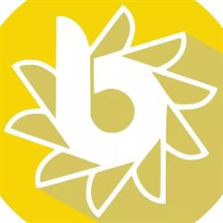 Berkenboom Humaniora, Sint-Niklaas openingstijden