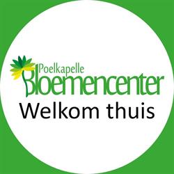 Bloemencenter Poelkapelle, openingstijden