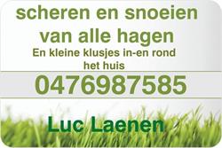 Luc Laenen, Lommel openingstijden